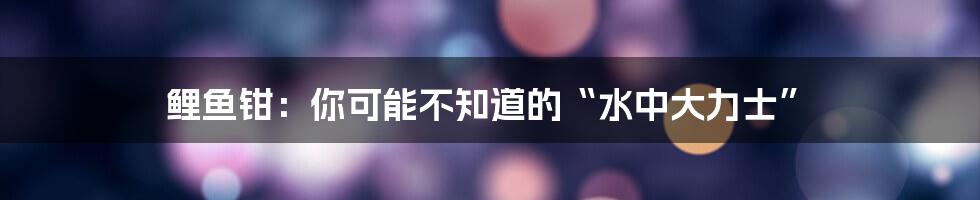 鲤鱼钳：你可能不知道的“水中大力士”