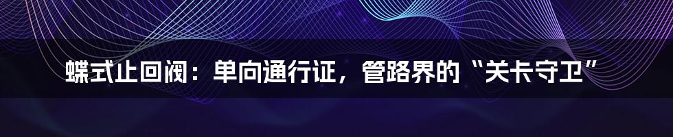 蝶式止回阀：单向通行证，管路界的“关卡守卫”
