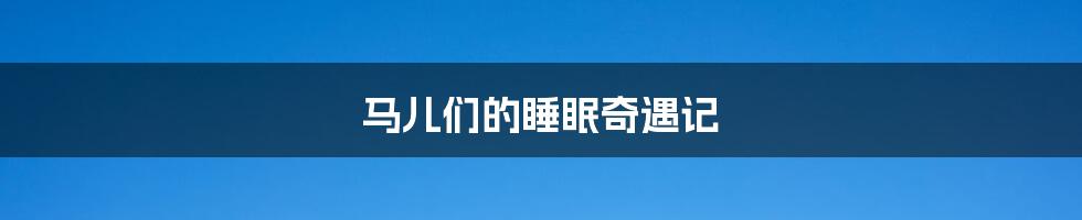 马儿们的睡眠奇遇记