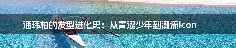 潘玮柏的发型进化史:从青涩少年到潮流icon