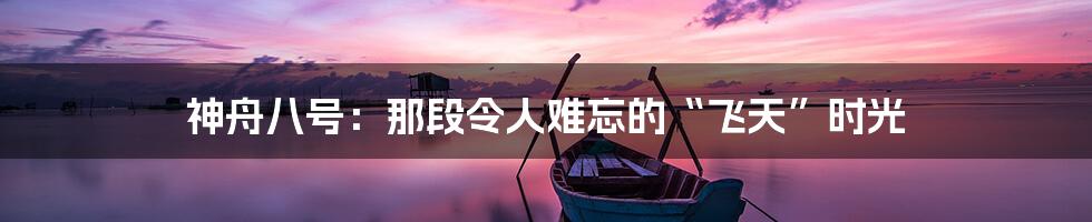 神舟八号：那段令人难忘的“飞天”时光