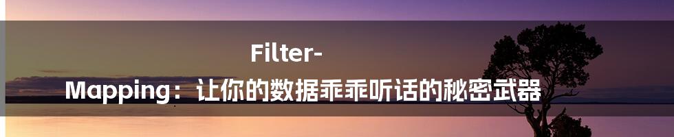 Filter-Mapping：让你的数据乖乖听话的秘密武器