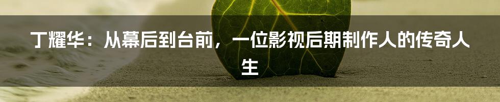 丁耀华:从幕后到台前,一位影视后期制作人的传奇人生
