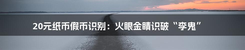20元纸币假币识别:火眼金睛识破“李鬼”