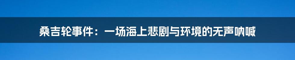 桑吉轮事件:一场海上悲剧与环境的无声呐喊