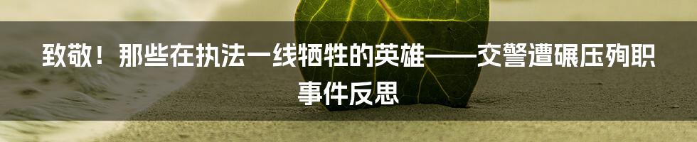 致敬!那些在执法一线牺牲的英雄——交警遭碾压殉职事件反思