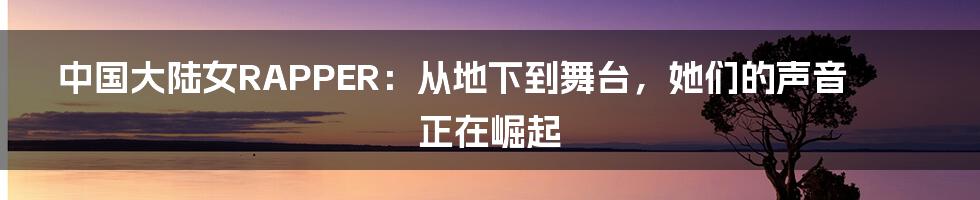 中国大陆女RAPPER:从地下到舞台,她们的声音正在崛起