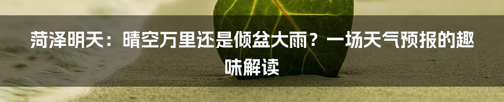 菏泽明天：晴空万里还是倾盆大雨？一场天气预报的趣味解读