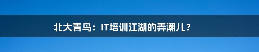 北大青鸟:IT培训江湖的弄潮儿?