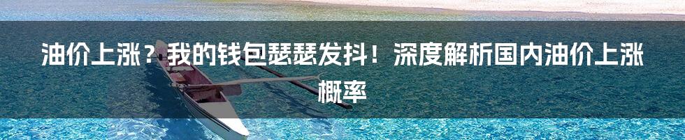 油价上涨?我的钱包瑟瑟发抖!深度解析国内油价上涨概率