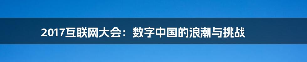 2017互联网大会：数字中国的浪潮与挑战