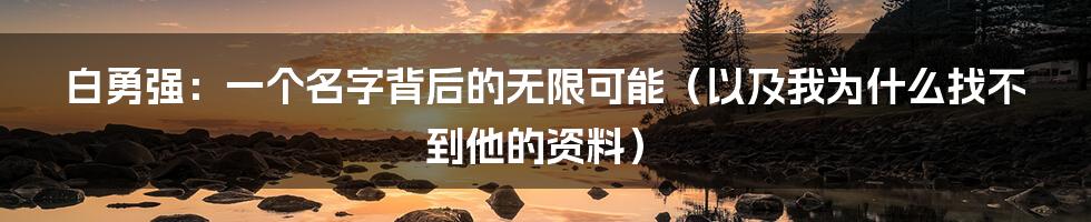 白勇强:一个名字背后的无限可能(以及我为什么找不到他的资料)