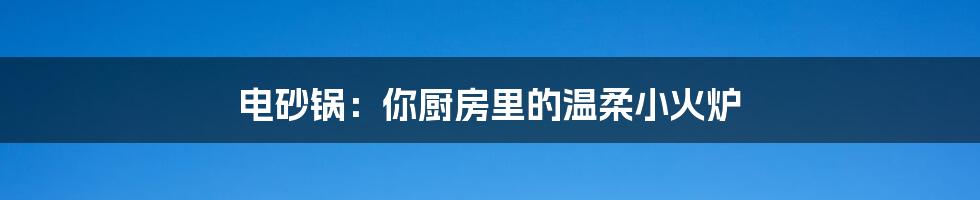 电砂锅：你厨房里的温柔小火炉