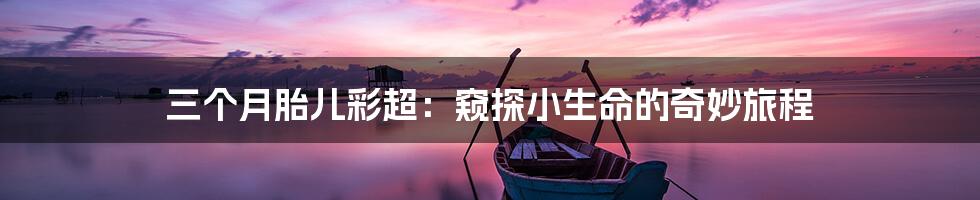 三个月胎儿彩超：窥探小生命的奇妙旅程