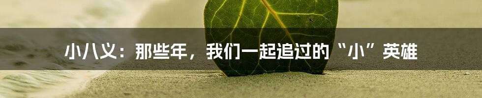 小八义：那些年，我们一起追过的“小”英雄