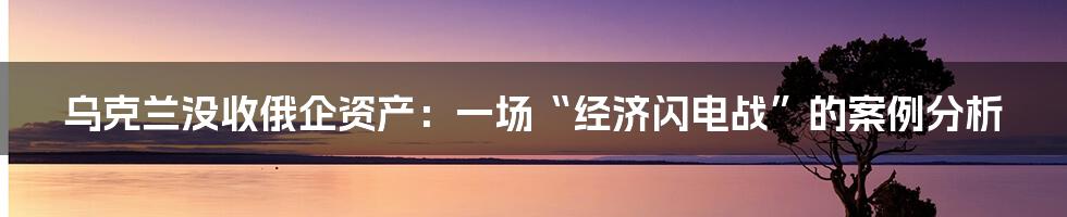 乌克兰没收俄企资产:一场“经济闪电战”的案例分析