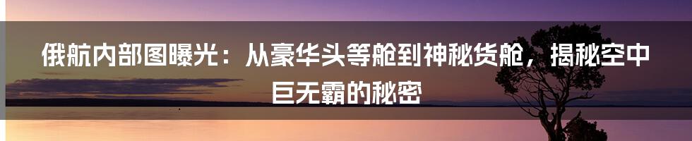 俄航内部图曝光：从豪华头等舱到神秘货舱，揭秘空中巨无霸的秘密