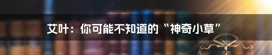 艾叶:你可能不知道的“神奇小草”