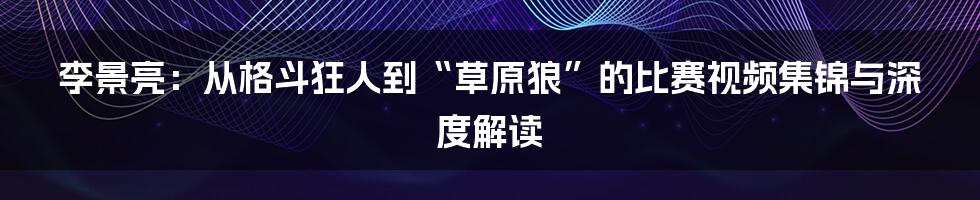 李景亮:从格斗狂人到“草原狼”的比赛视频集锦与深度解读