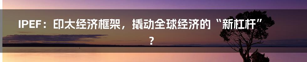 IPEF:印太经济框架,撬动全球经济的“新杠杆”?
