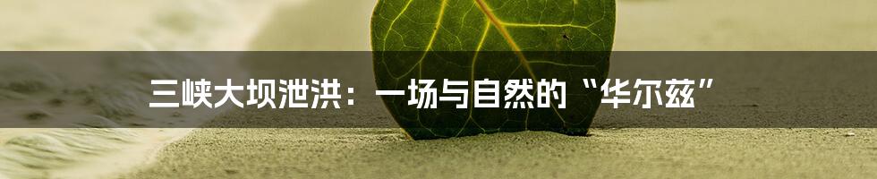 三峡大坝泄洪：一场与自然的“华尔兹”