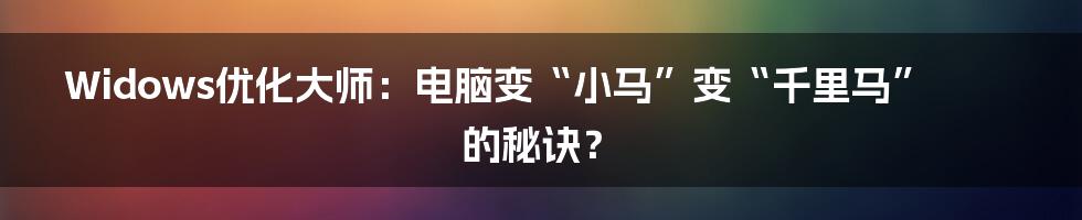 Widows优化大师:电脑变“小马”变“千里马”的秘诀?