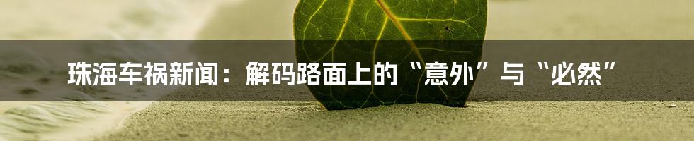 珠海车祸新闻：解码路面上的“意外”与“必然”