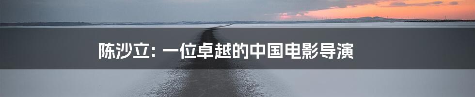 陈沙立: 一位卓越的中国电影导演