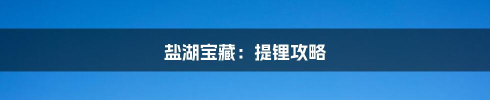 盐湖宝藏:提锂攻略