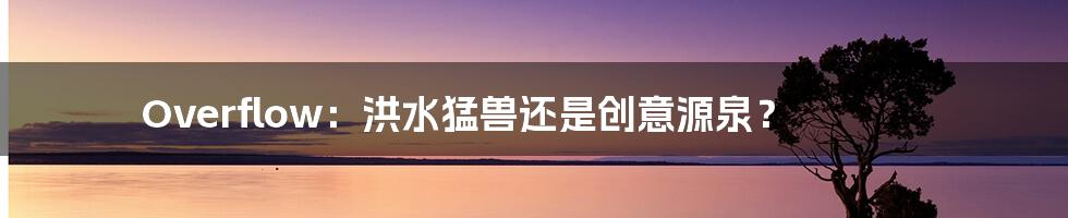 Overflow：洪水猛兽还是创意源泉？