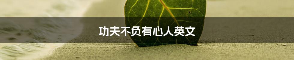 功夫不负有心人英文