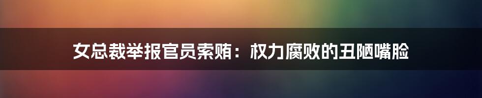 女总裁举报官员索贿:权力腐败的丑陋嘴脸