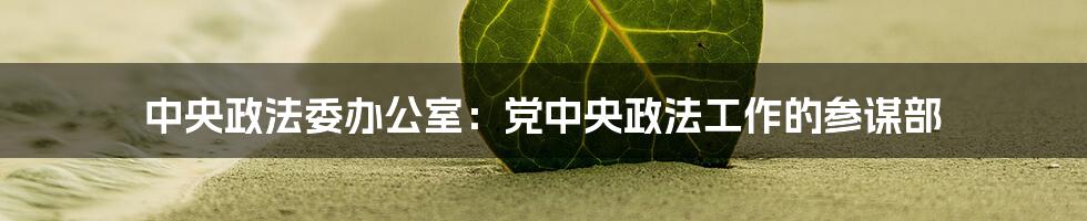 中央政法委办公室:党中央政法工作的参谋部