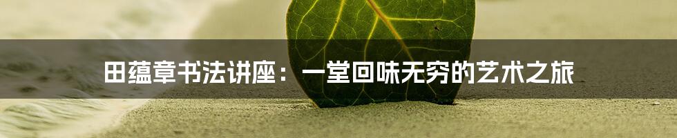 田蕴章书法讲座:一堂回味无穷的艺术之旅