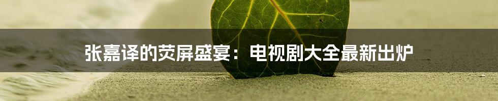 张嘉译的荧屏盛宴:电视剧大全最新出炉
