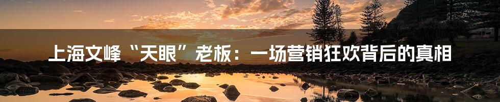 上海文峰“天眼”老板:一场营销狂欢背后的真相