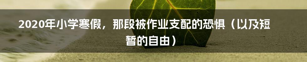 2020年小学寒假,那段被作业支配的恐惧(以及短暂的自由)