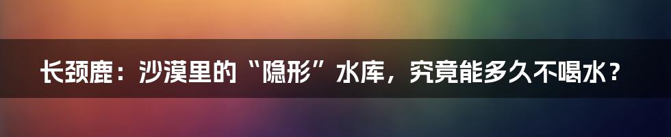 长颈鹿:沙漠里的“隐形”水库,究竟能多久不喝水?