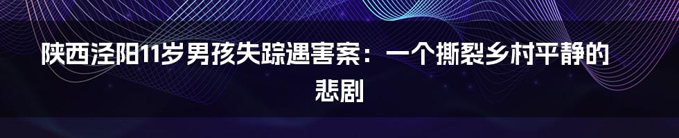 陕西泾阳11岁男孩失踪遇害案:一个撕裂乡村平静的悲剧