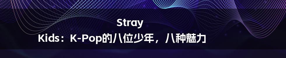 Stray Kids:K-Pop的八位少年,八种魅力