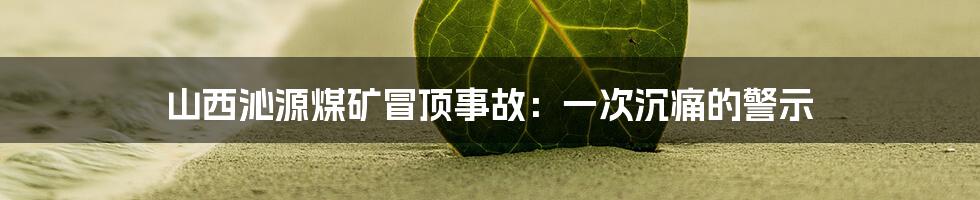 山西沁源煤矿冒顶事故：一次沉痛的警示