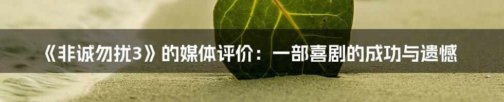 《非诚勿扰3》的媒体评价:一部喜剧的成功与遗憾