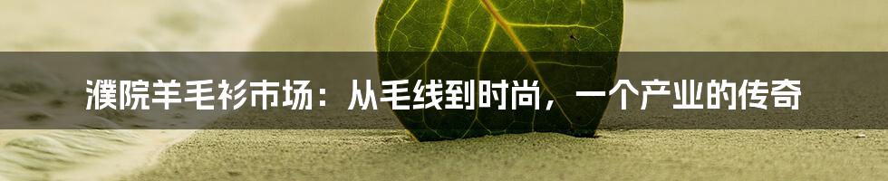 濮院羊毛衫市场:从毛线到时尚,一个产业的传奇