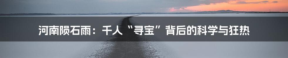 河南陨石雨:千人“寻宝”背后的科学与狂热