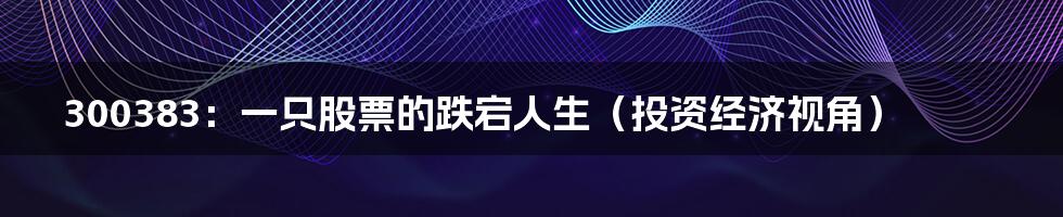 300383:一只股票的跌宕人生(投资经济视角)