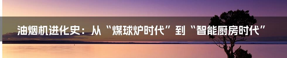 油烟机进化史:从“煤球炉时代”到“智能厨房时代”