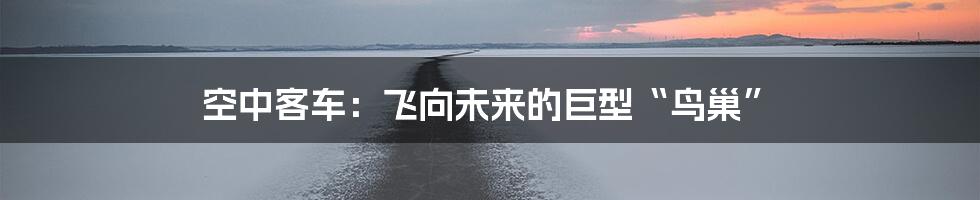 空中客车:飞向未来的巨型“鸟巢”