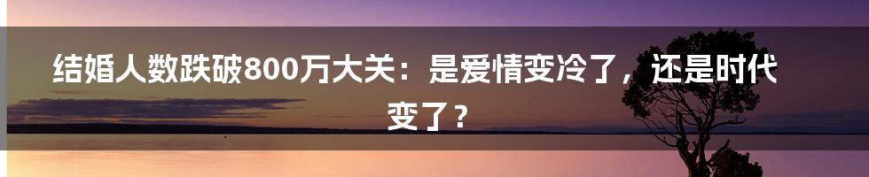 结婚人数跌破800万大关:是爱情变冷了,还是时代变了?