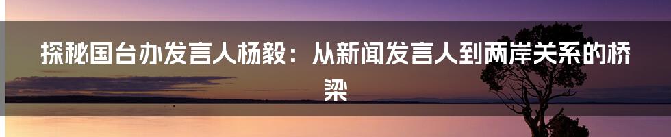 探秘国台办发言人杨毅:从新闻发言人到两岸关系的桥梁