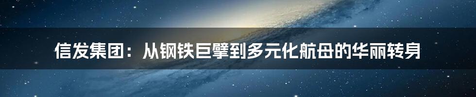 信发集团:从钢铁巨擘到多元化航母的华丽转身
